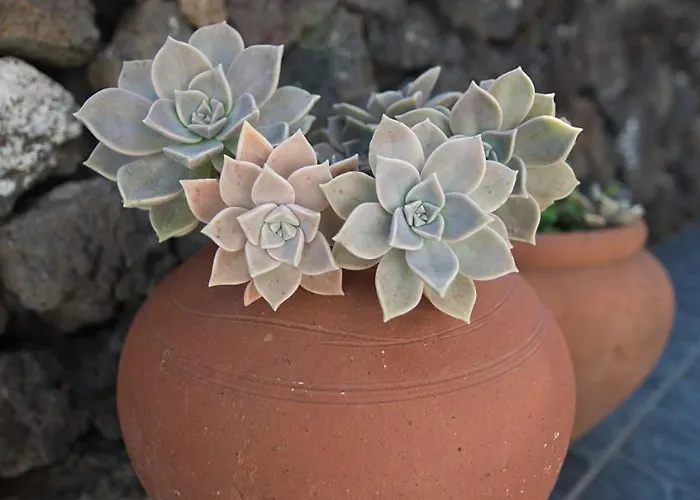 Casa Do Chafariz Varadouro