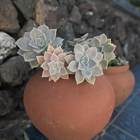 Casa Do Chafariz Varadouro